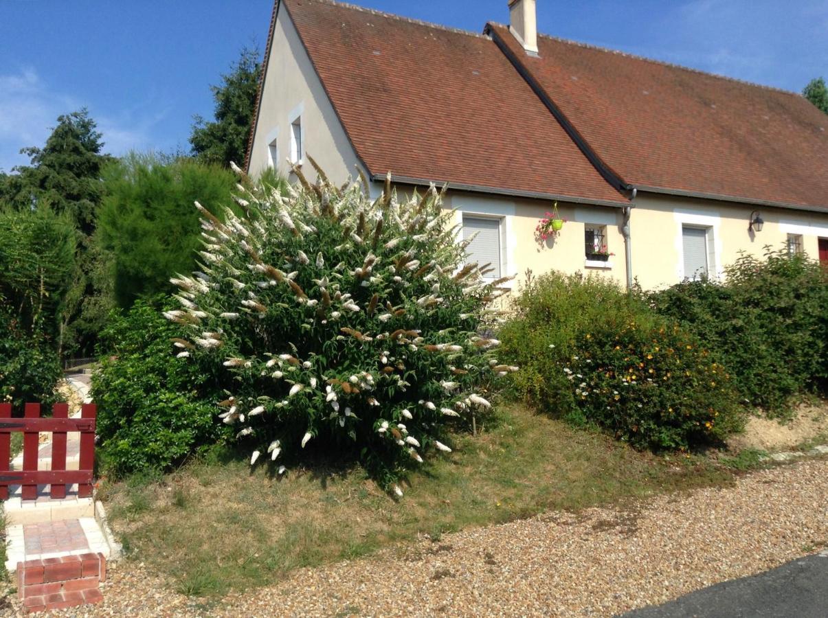 Le Roi Coq Bed & Breakfast Chenonceaux Exterior photo